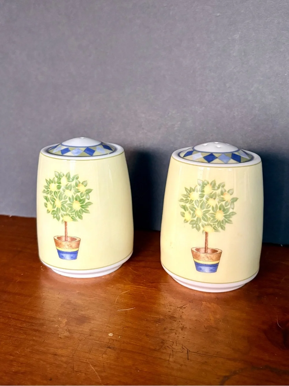 Vintage Royal Dalton Carmina Salt and Pepper Shaker Set